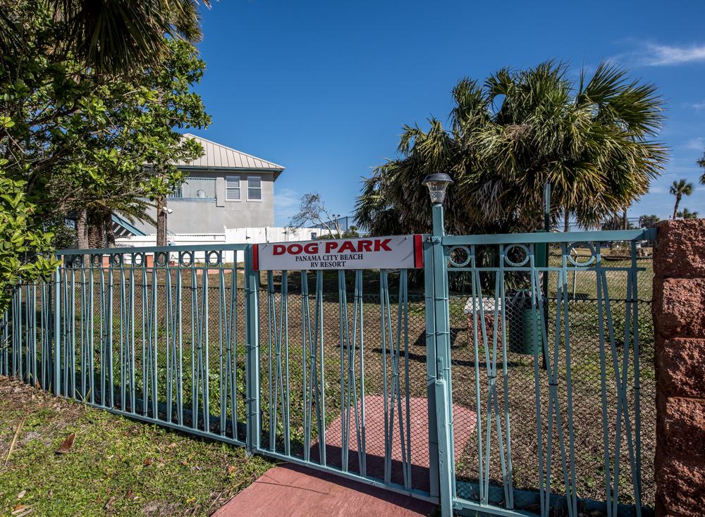 A fenced dog park with a sign on the gate reading “Dog Park, Park Closes at Dusk.” Trees and a building are visible in the background under a clear sky.