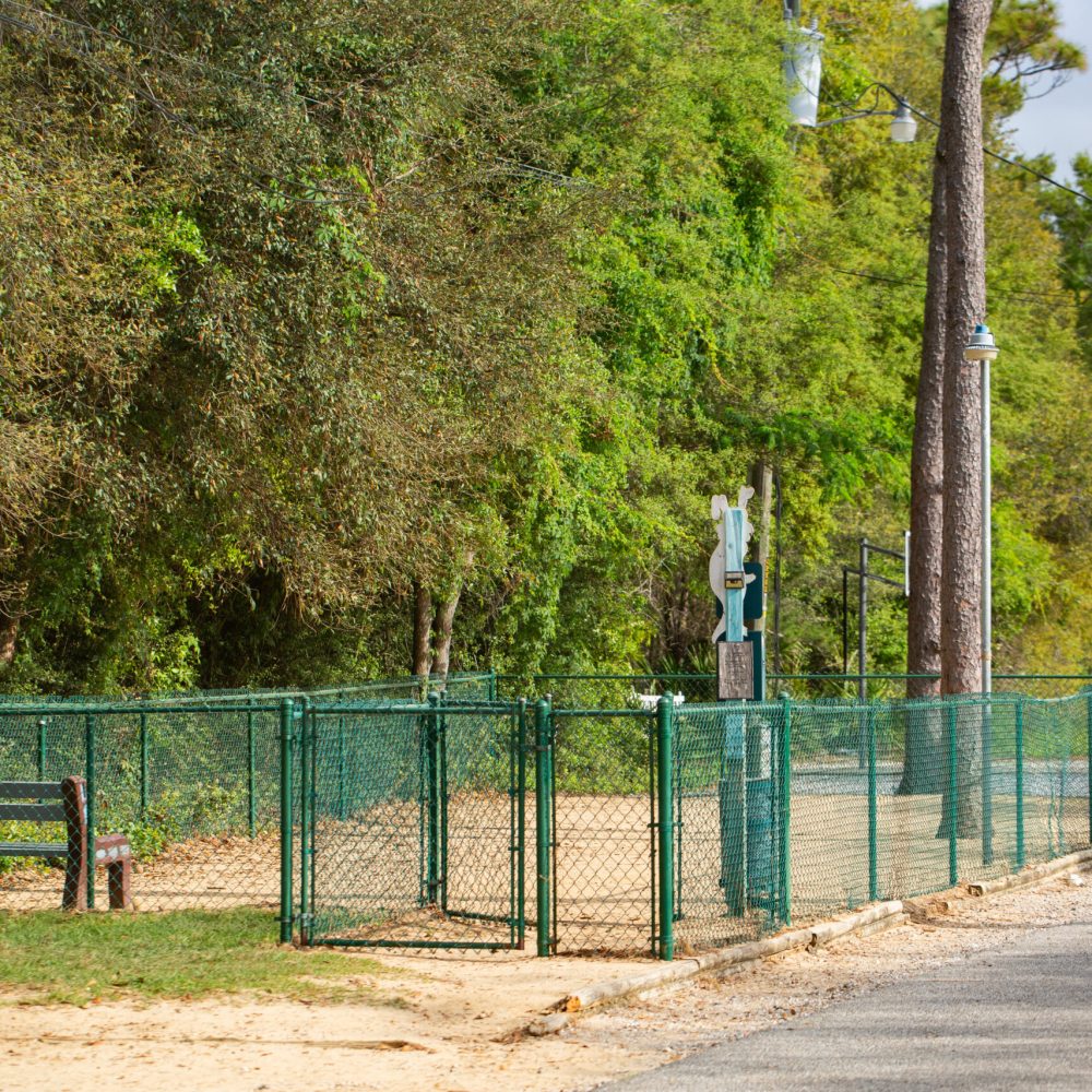 A fenced area with a bench beside a dirt path and trees, next to a paved road with a green tram parked nearby.