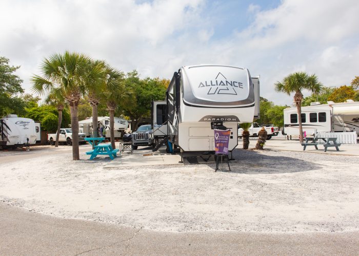 A large Alliance Paradigm RV is parked on a gravel lot with palm trees, picnic tables, and other RVs in the background under a partly cloudy sky.